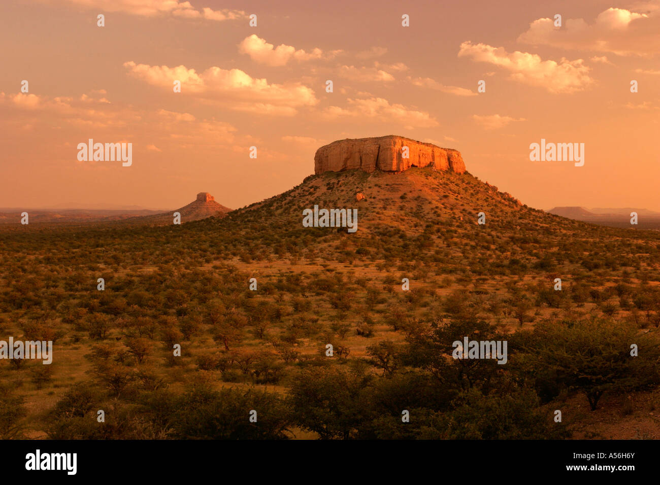 Ugab Terassen Im Abendlicht Ugab Tal Namibia Afrika Ugab Terrassen im Abend leichte Ugab-Tal Namibia Afrika Stockfoto