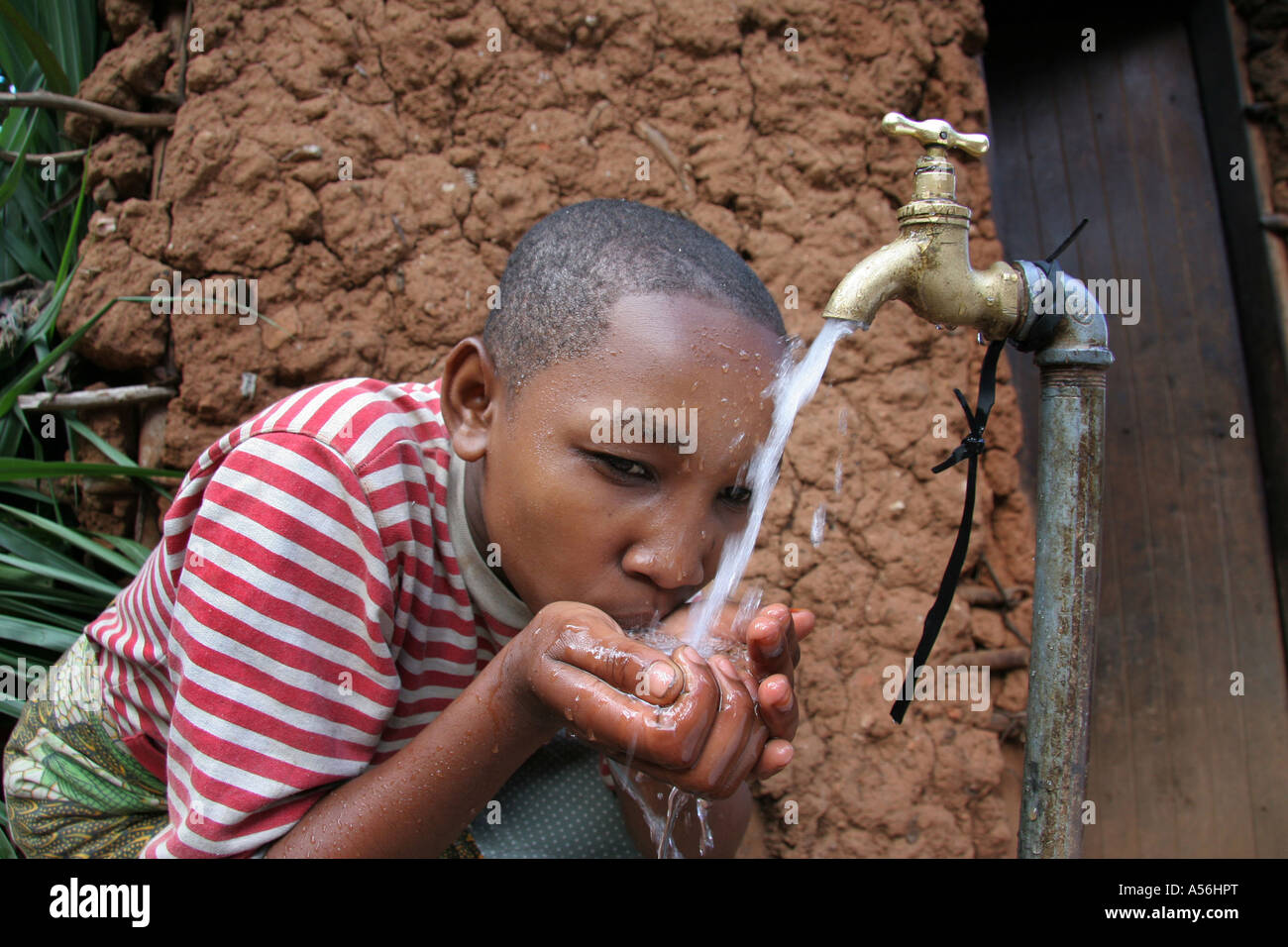 Painet iy8601 Tansania Mädchen Kind Kind Trinkwasser Familie Hahn Mvango Dorf gleichen Nordost Kilimanjaro Foto 2005 Land Stockfoto