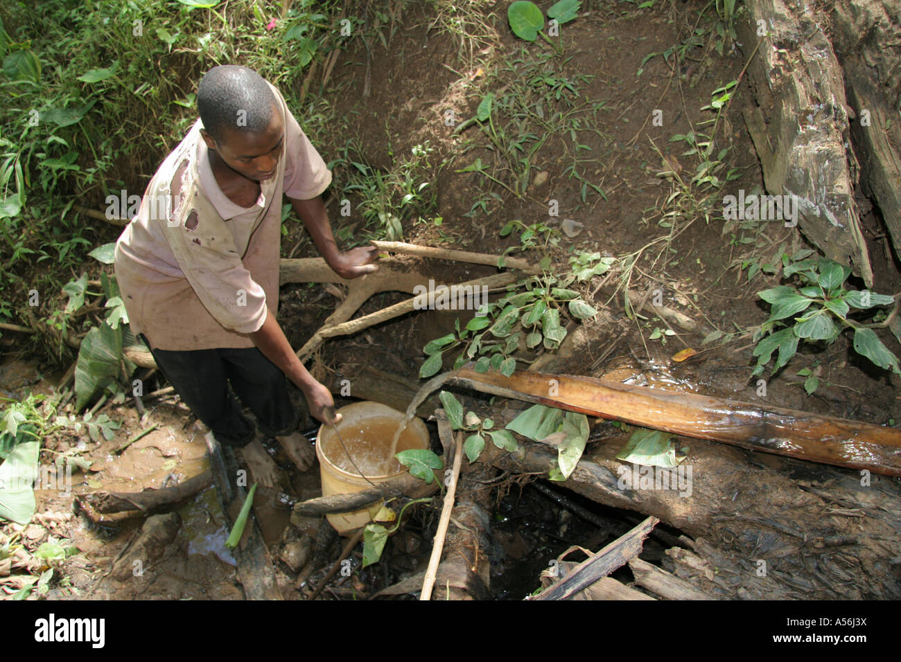 Painet iy8621 Tansania Mann männlich verschmutztes Trinkwasser Eimer Stream nach Hause kontaminierten Amöben Giardhea und sammeln Stockfoto