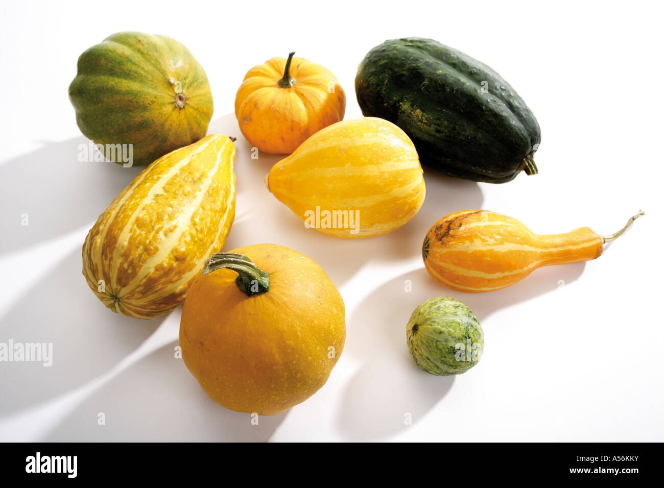 Verschiedene Kürbisse Stockfoto