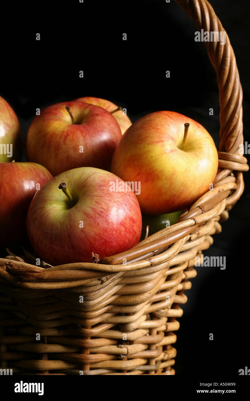 Frisch gepflückte Äpfel im Korb auf schwarz Stockfoto