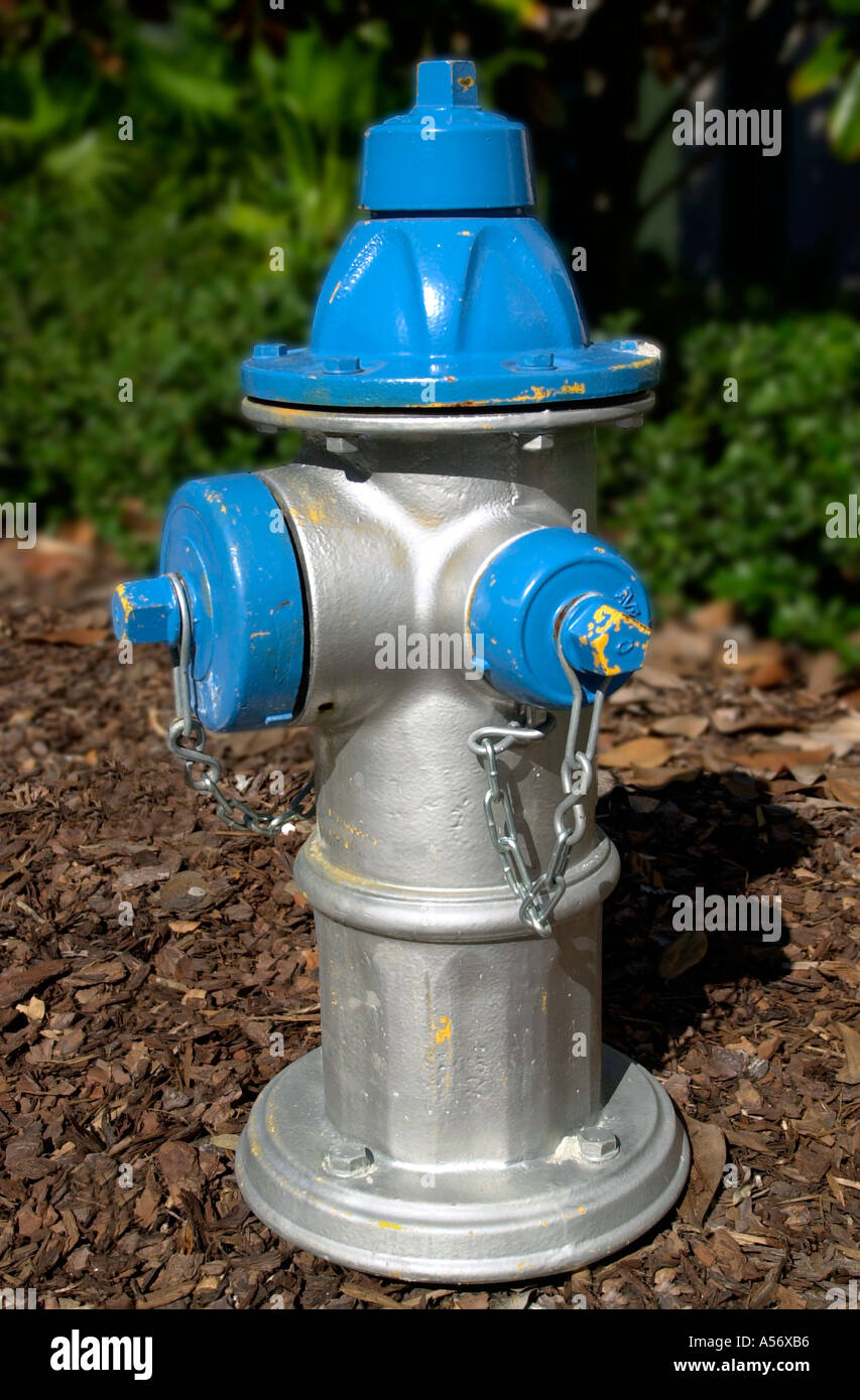 Feuer Hydrant, International Drive, Orlando, Florida, USA Stockfoto