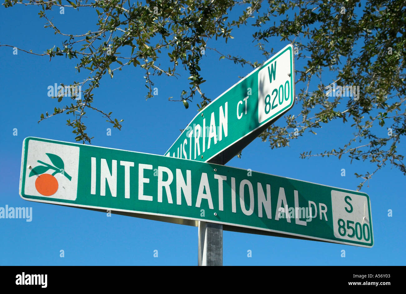 International Drive Straßenschild Orlando Florida USA Stockfoto