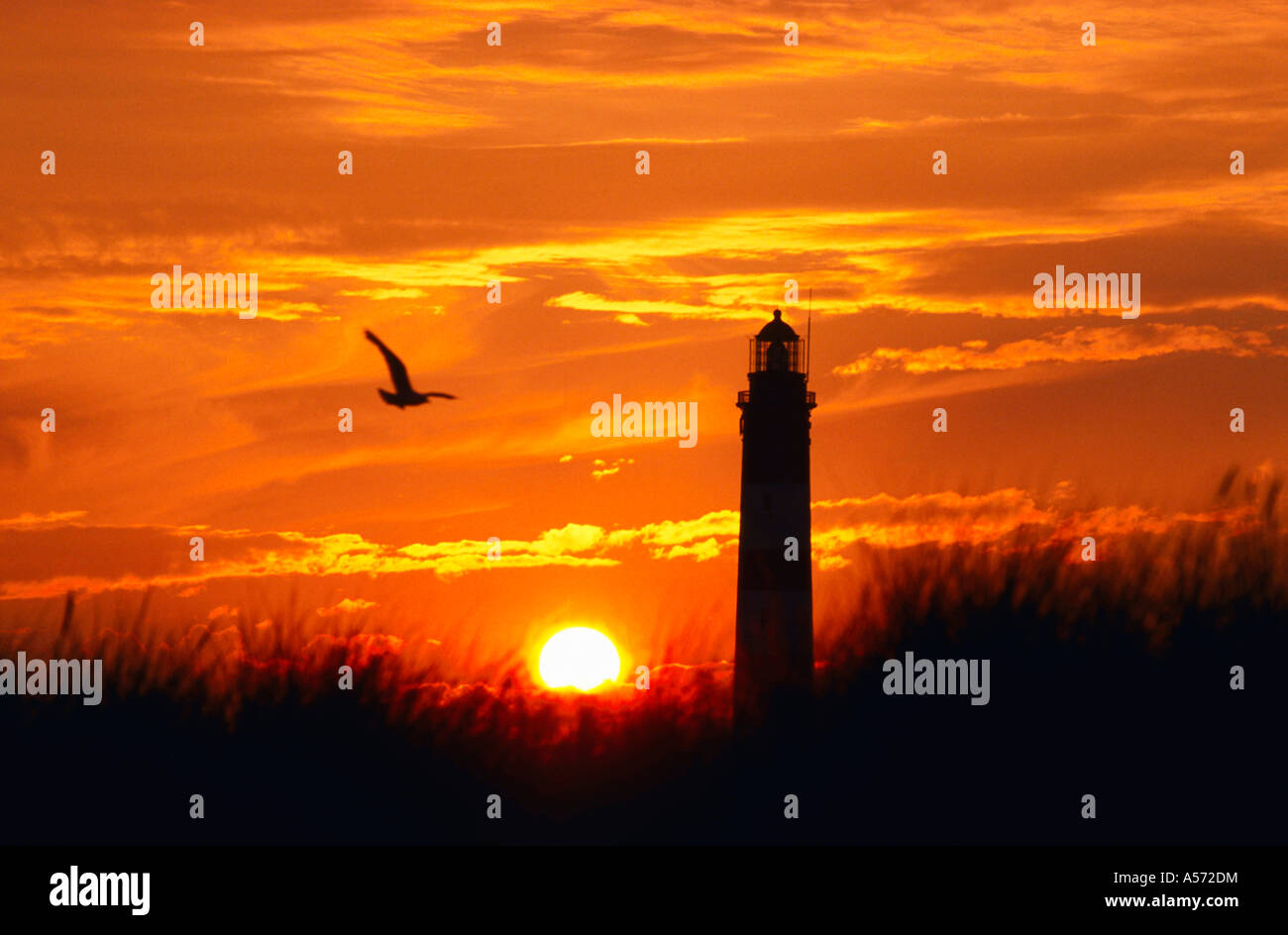 Leuchtturm Amrum Nordfriesische Inseln Deutschland Stockfoto