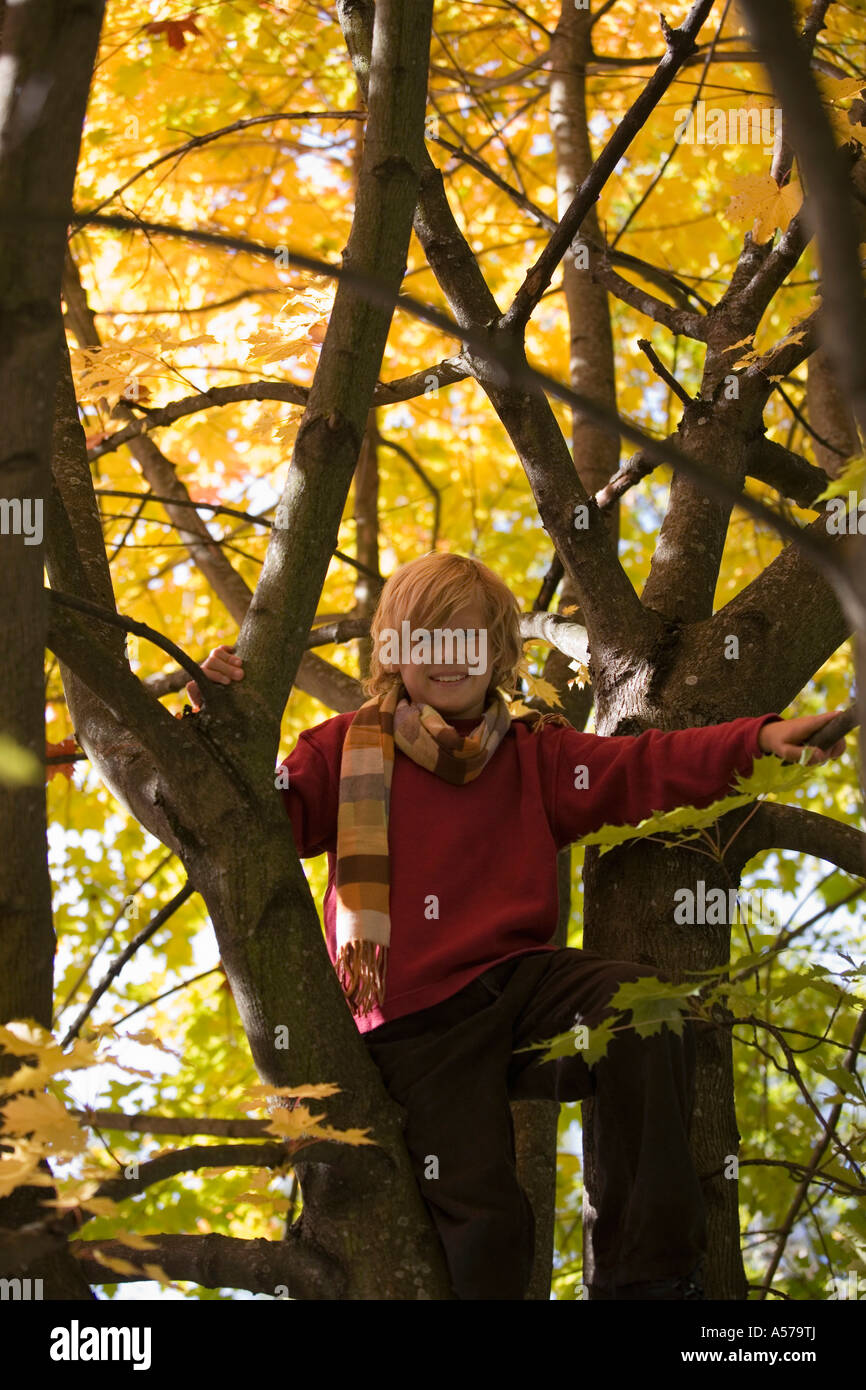Junge (10-12) sitzt im Baum Stockfoto