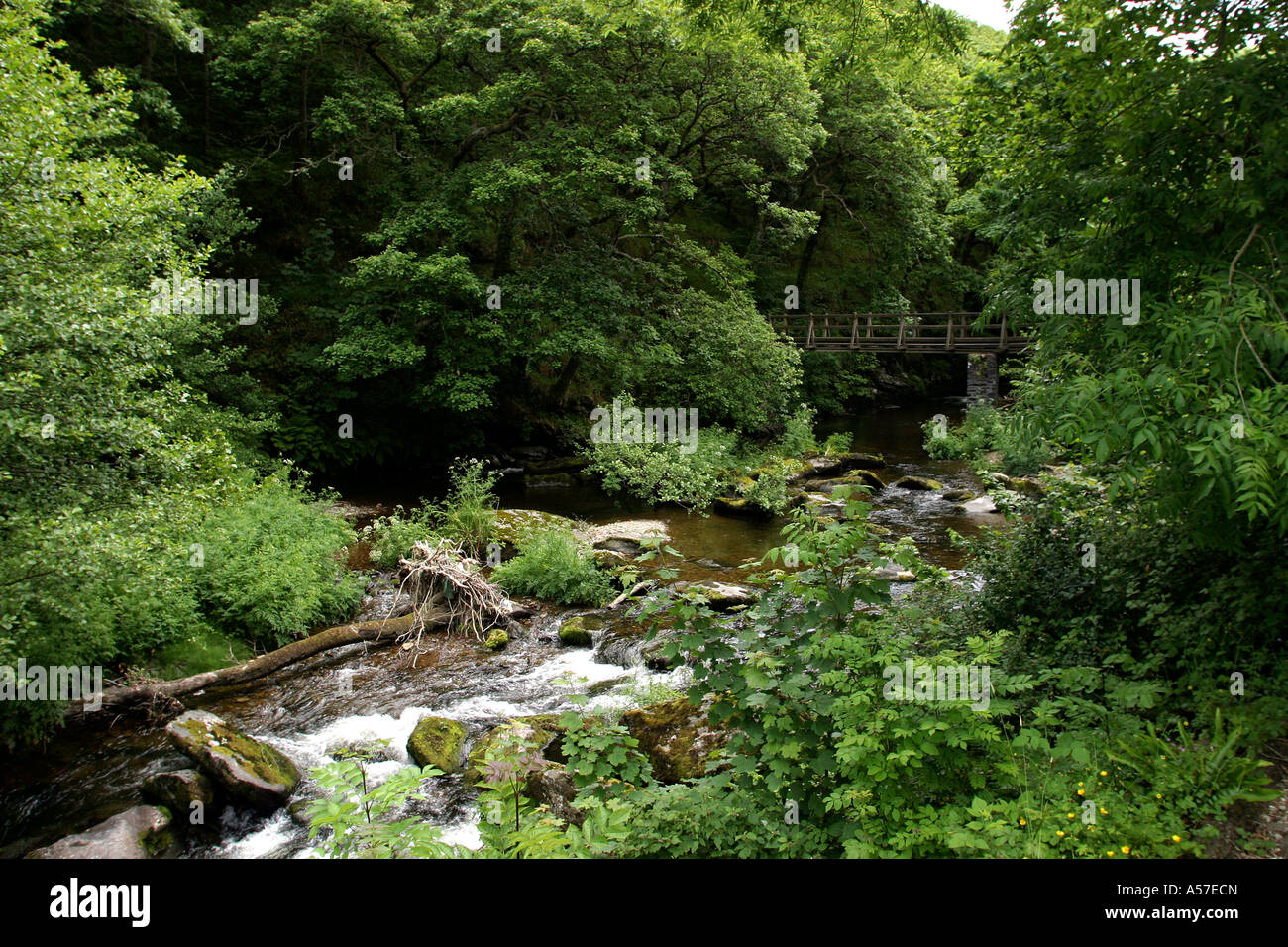 UK Devon Exmoor Malmsmead East Lyn River durch grünen Tal Stockfoto