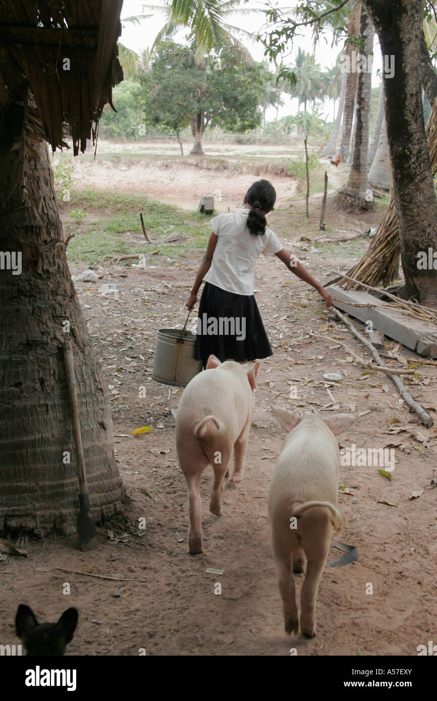 Painet je2195 Kambodscha Mädchen 13 Jahre alten Ken Srey Tum Fütterung von Schweinen Kampot Provinz 2006 Arbeit Arbeit Kind Kind Kinder Kinder Stockfoto