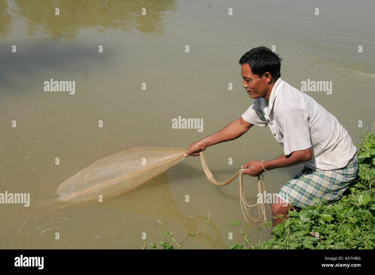 Pond fish buying Fotos und Bildmaterial in hoher Auflösung Alamy