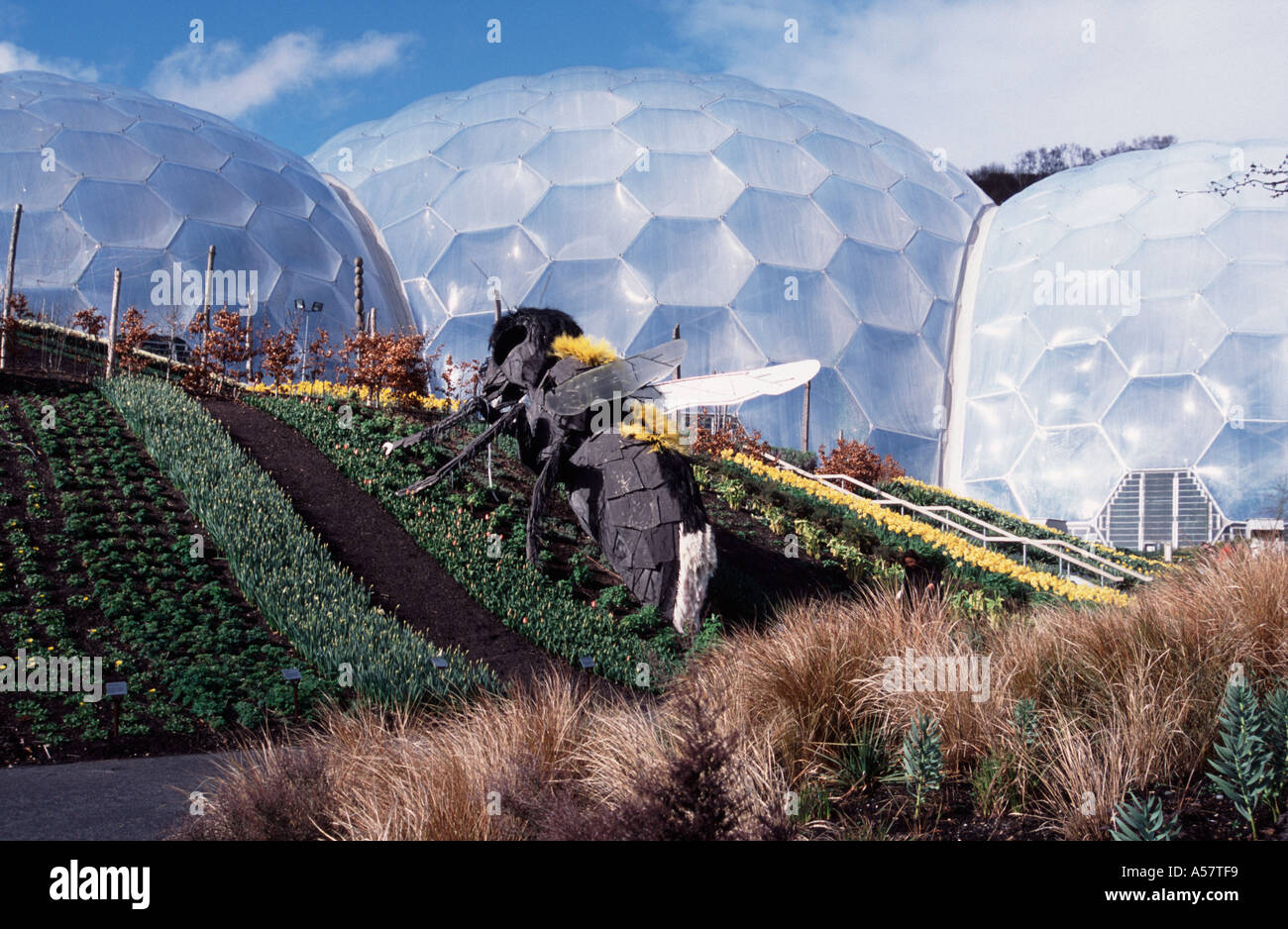 Riesige Biene im Garten von Eden Projekt St Austell Cornwall England UK Stockfoto