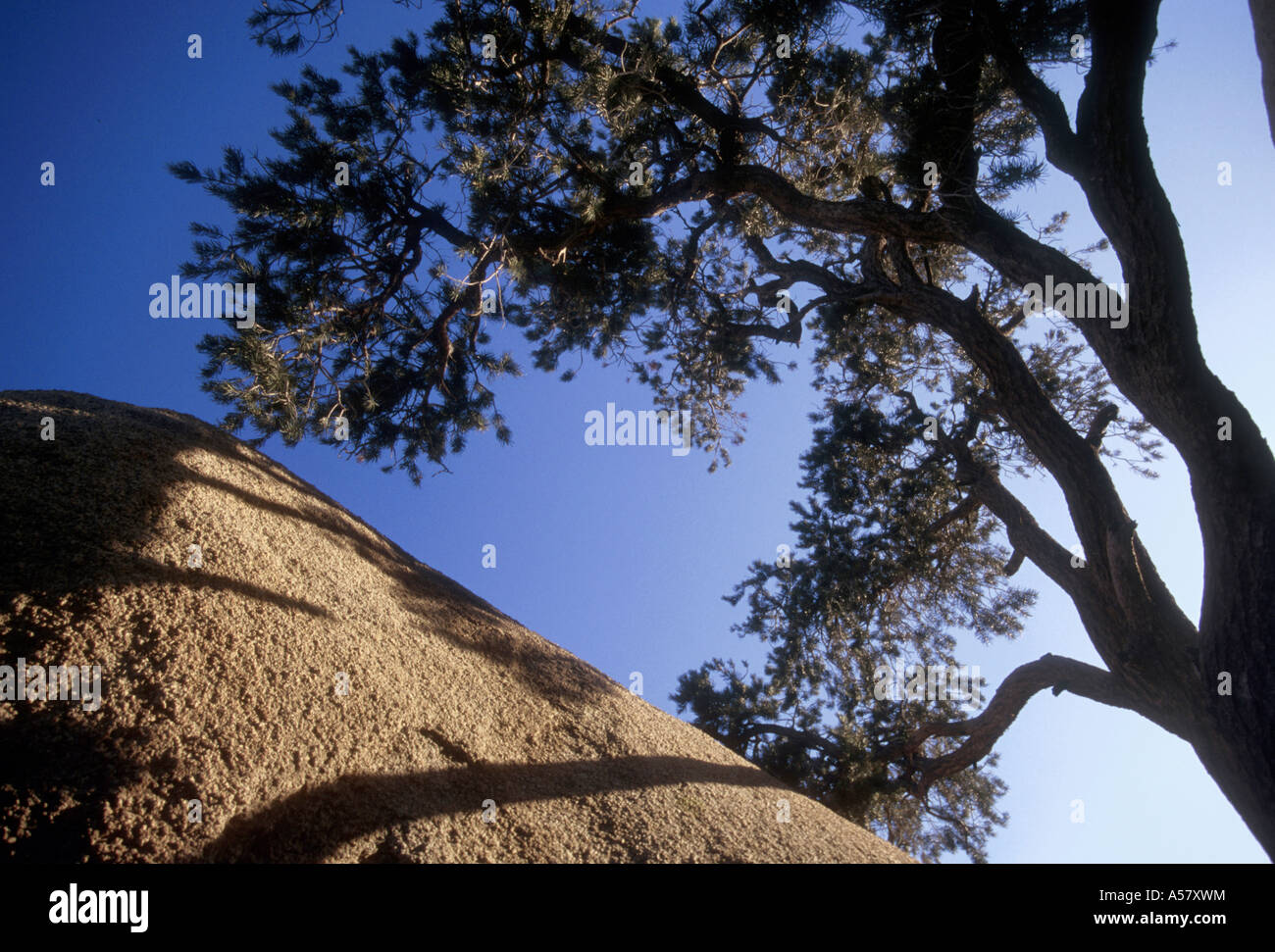 Painet ha2043 4126 Rock formationen Joshua Tree Nationalpark Kalifornien Usa Land entwickeln Nation wirtschaftlich entwickelt Stockfoto