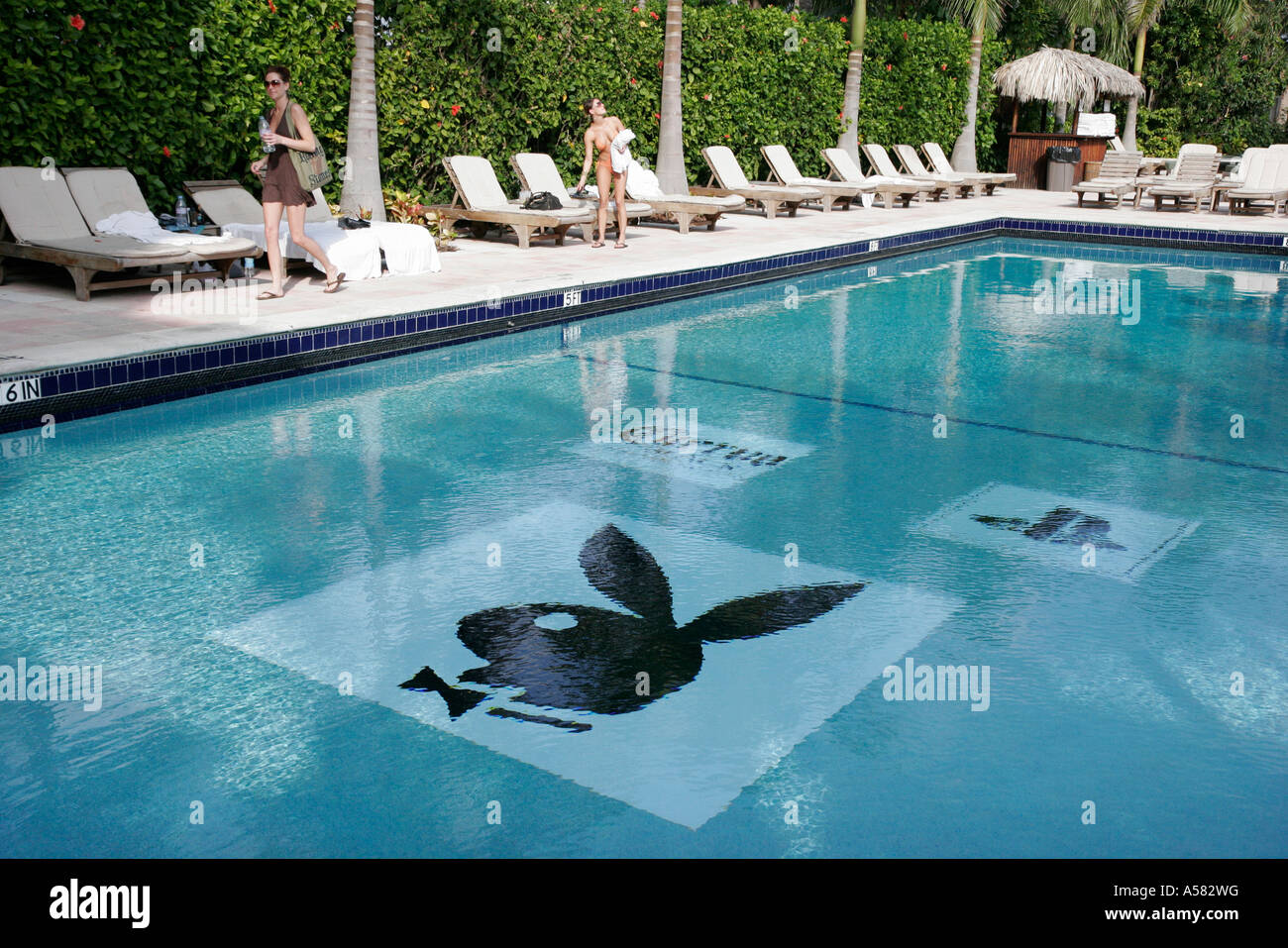 Miami Beach, Florida, Collins Avenue, South Seas, Hotel, Logo des Playboy Bunny, Swimmingpool, FL070201090 Stockfoto