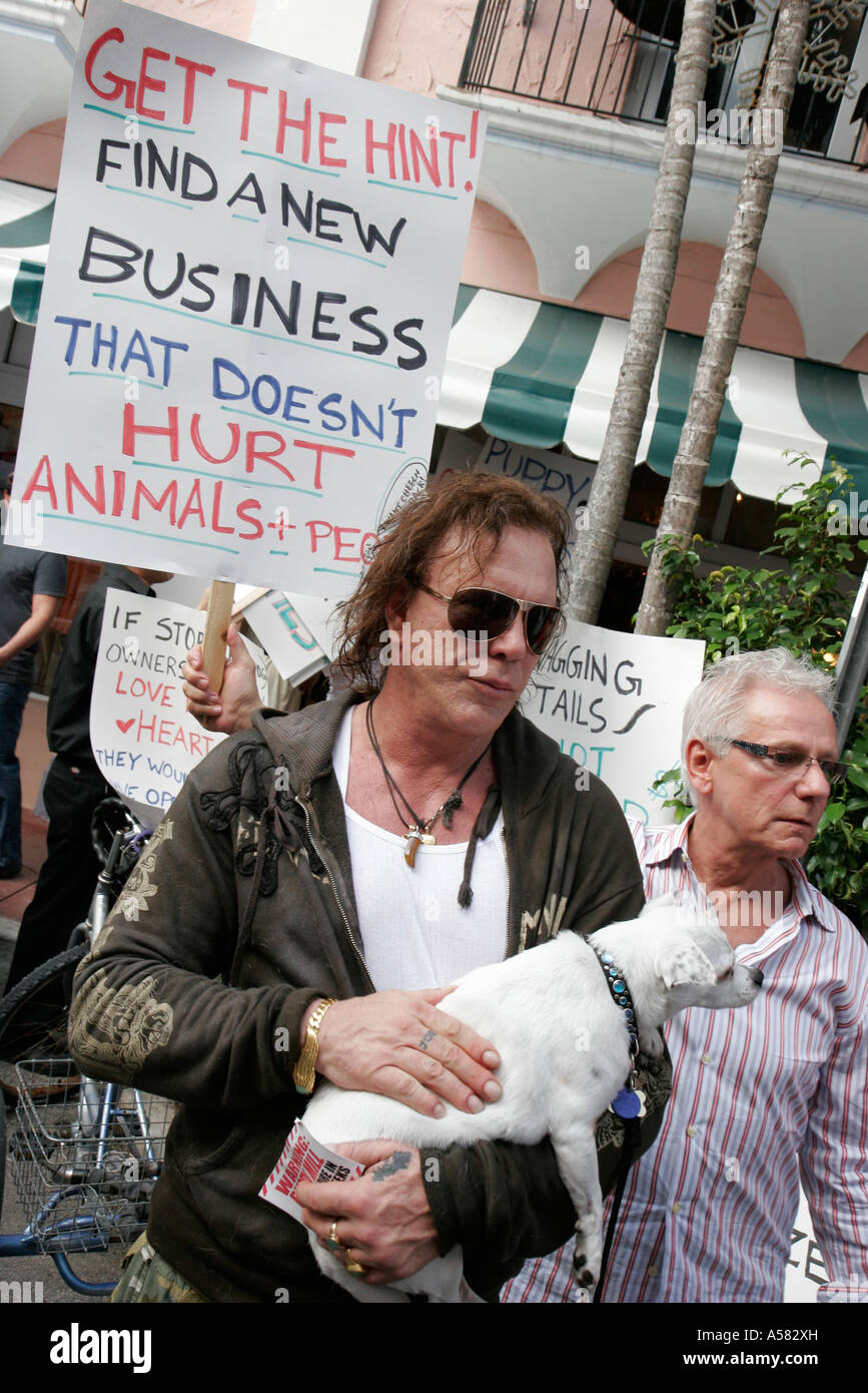 Miami Beach, Florida, Espanola Way, öffentlicher Protest, Hot Dog Puppies PET Store Verkauf, ungesunde kranke Hunde, Schilder, Poster, Slogans, Tierrechte, Mickey Rourk Stockfoto