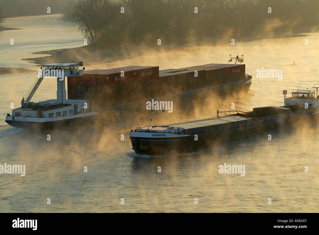 Frachtschiffe auf dem dampfenden Rhein im Winter in der Nähe von Bendorf, Rheinland-Pfalz, Deutschland Stockfoto