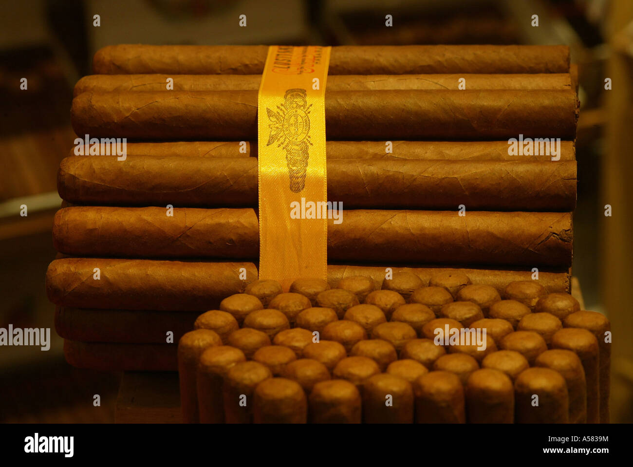 Eine Packung von Zigarren Stockfoto