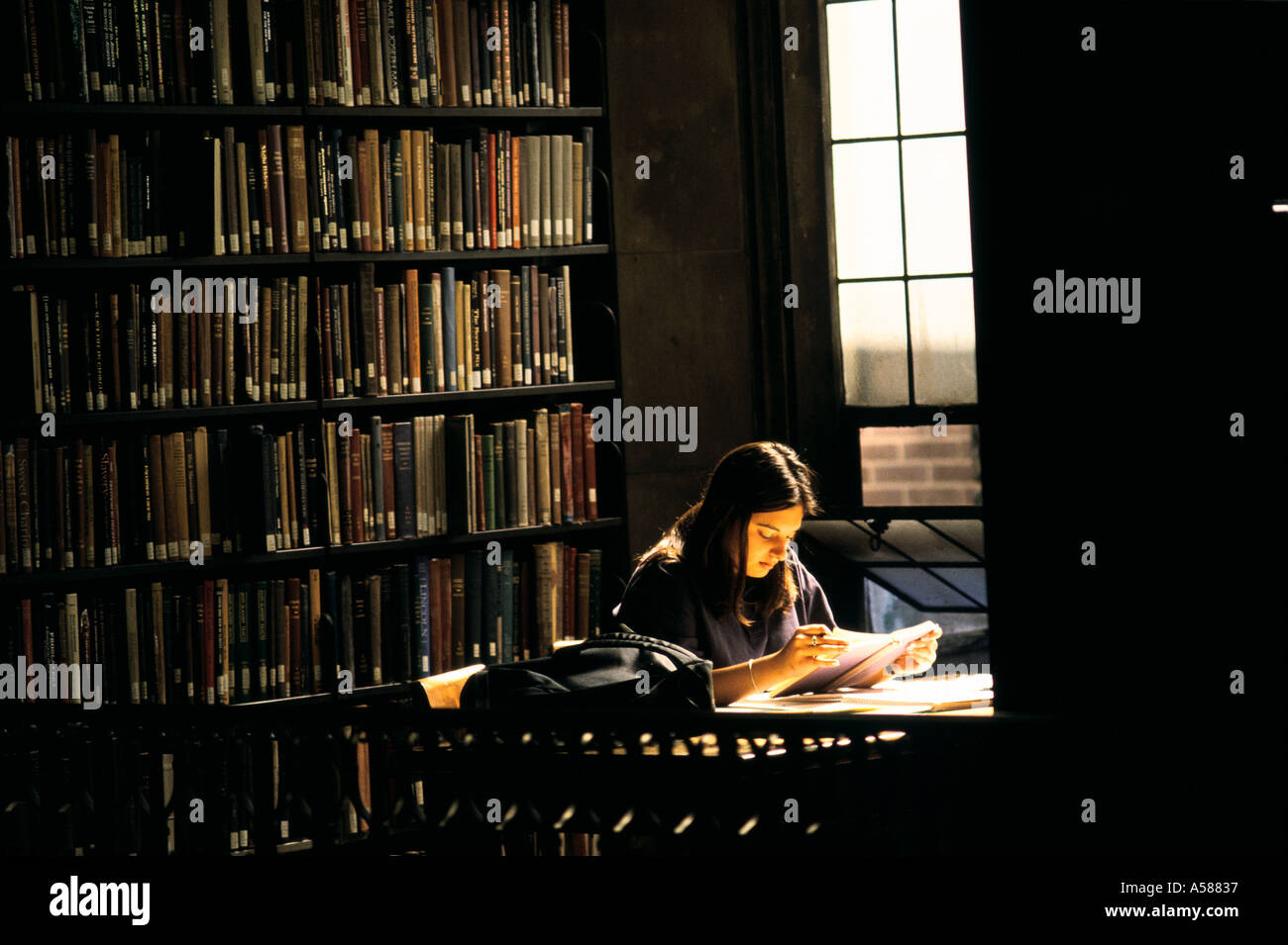 Weibliche College-Student Studium iby selbst in einer teilweise beleuchteten Bibliothek Stockfoto