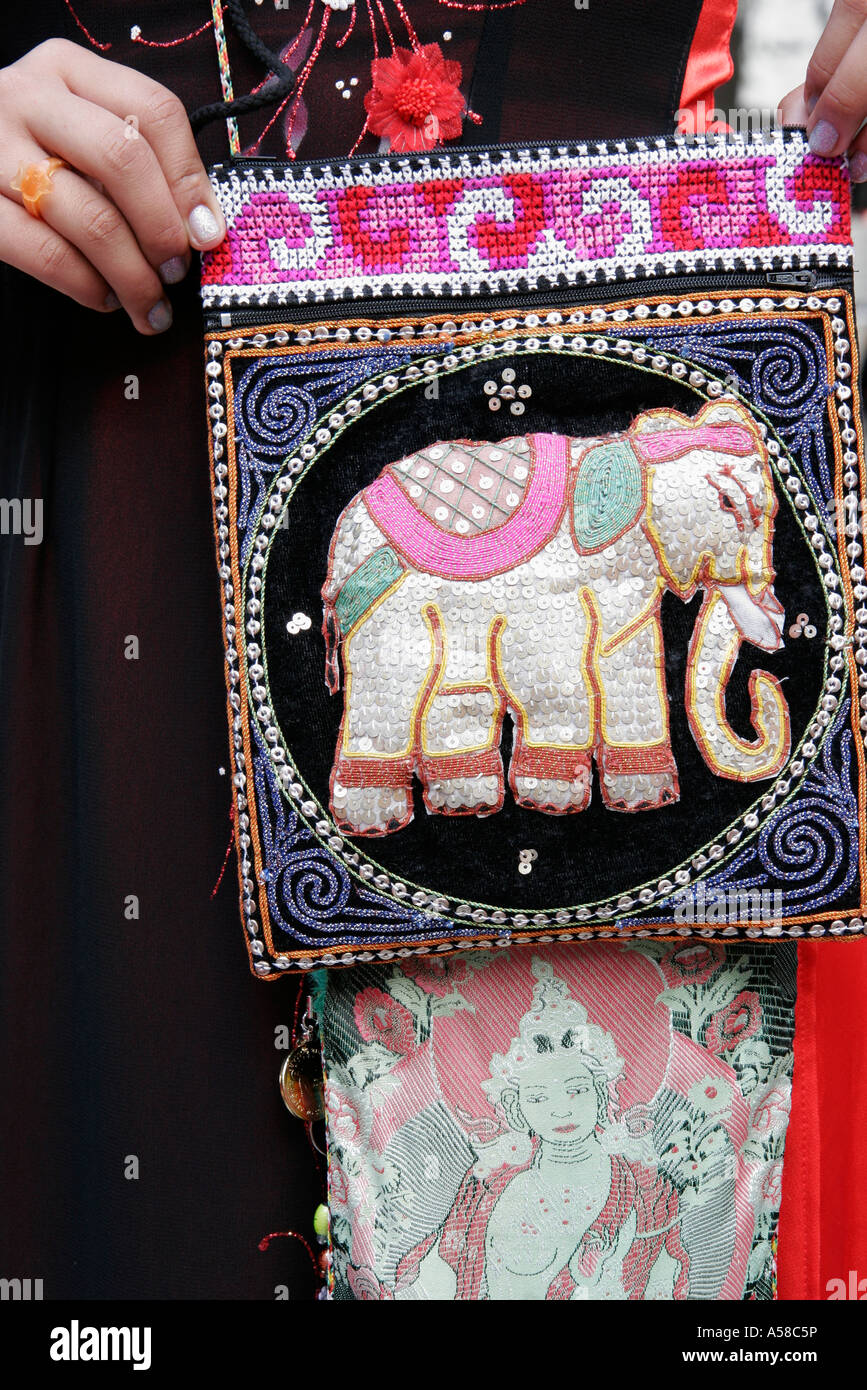 Miami Florida, Miami Dade College Kendall Campus, chinesisches Neujahrsfest, Festivals fair, Tradition Ausstellung Sammlung, Display Verkauf Verkäufer V Stockfoto