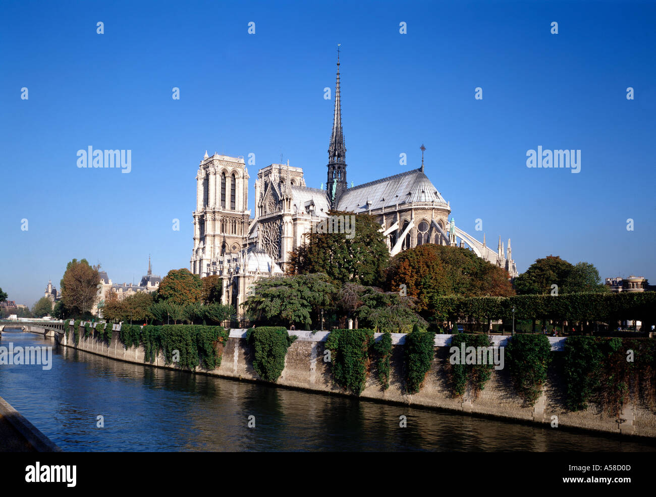 Paris, Notre-Dame Stockfoto