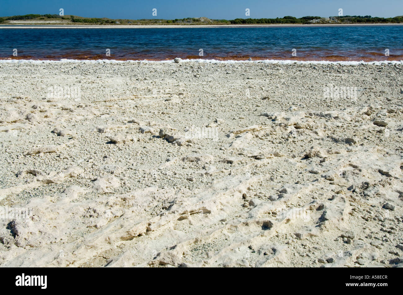 Trockenheit, Salz verkrustet ausgetrocknet Testflugzeug, Herschel See, Rottnest Island, Western Australia, Februar 2007 Stockfoto