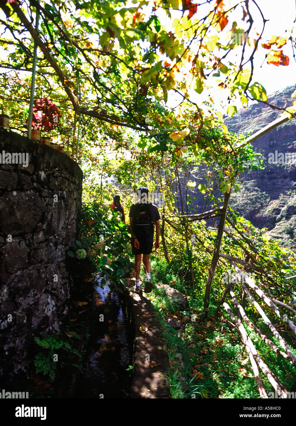 dh Levada dos Curral SOCORRIDOS TAL MADEIRA Wanderer Wandern Wanderer Paar Wanderer Fußpfad Levadas Menschen Stockfoto