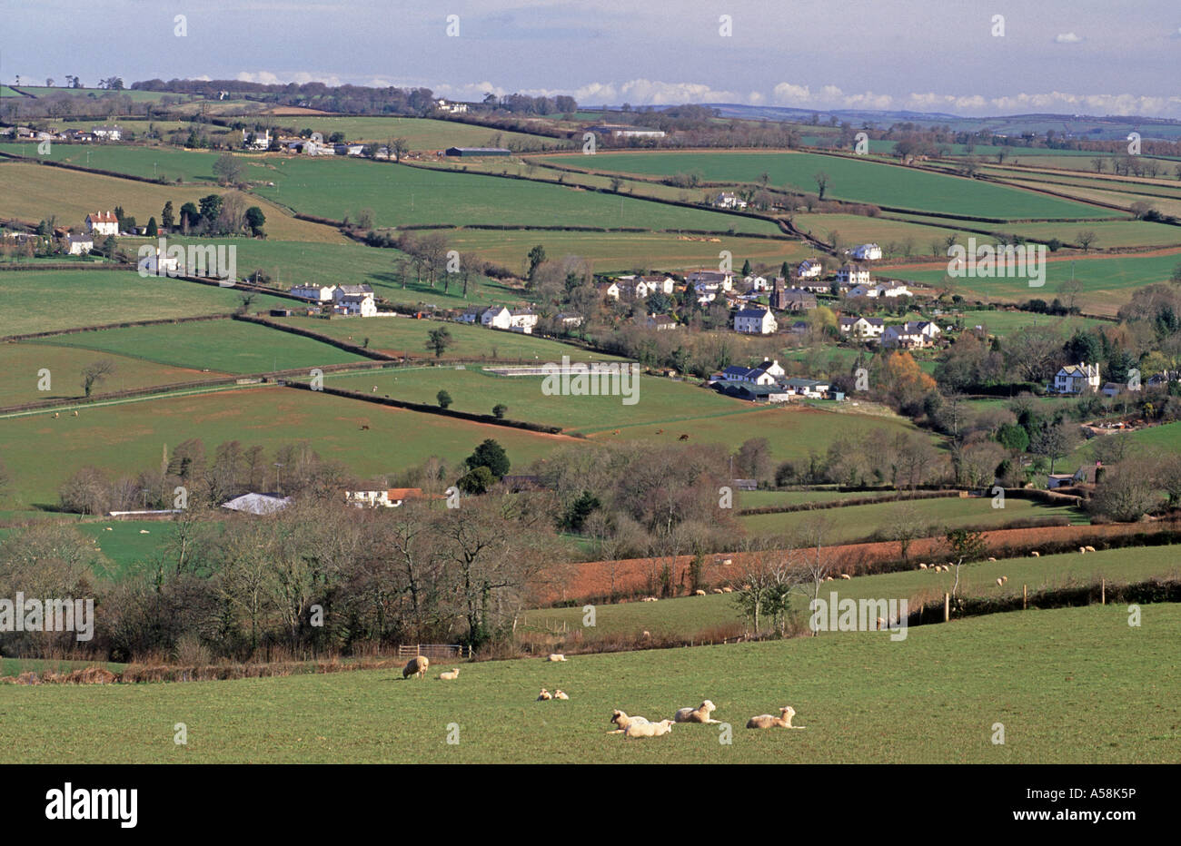 Butterleigh, ländlichen Gegend im mittleren Devon.  XPL 4808-451 Stockfoto