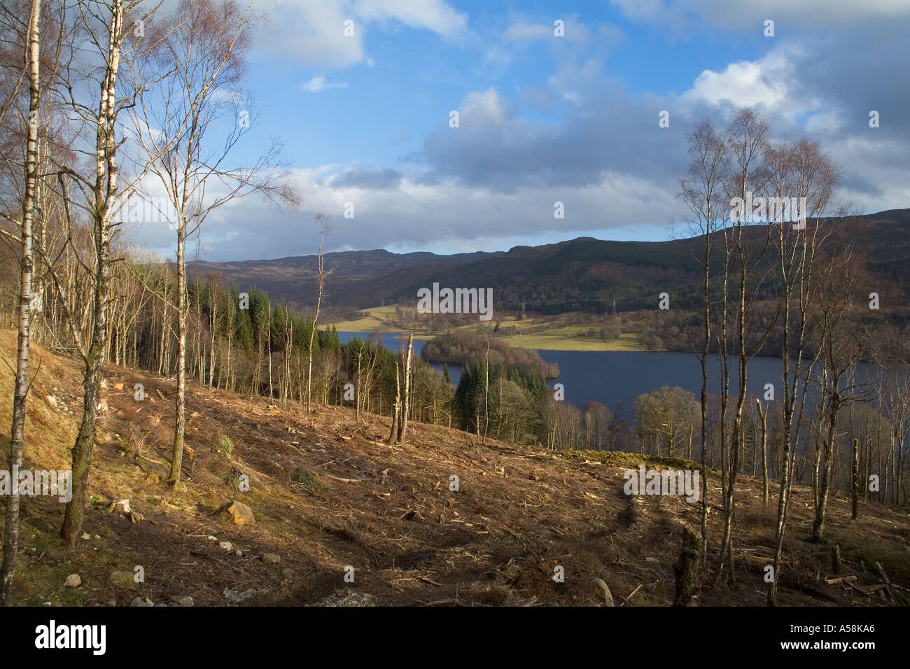 dh Loch Tummel STRATHTUMMEL PERTHSHIRE Forstwirtschaft Land Baum Fällen gelöscht Stockfoto