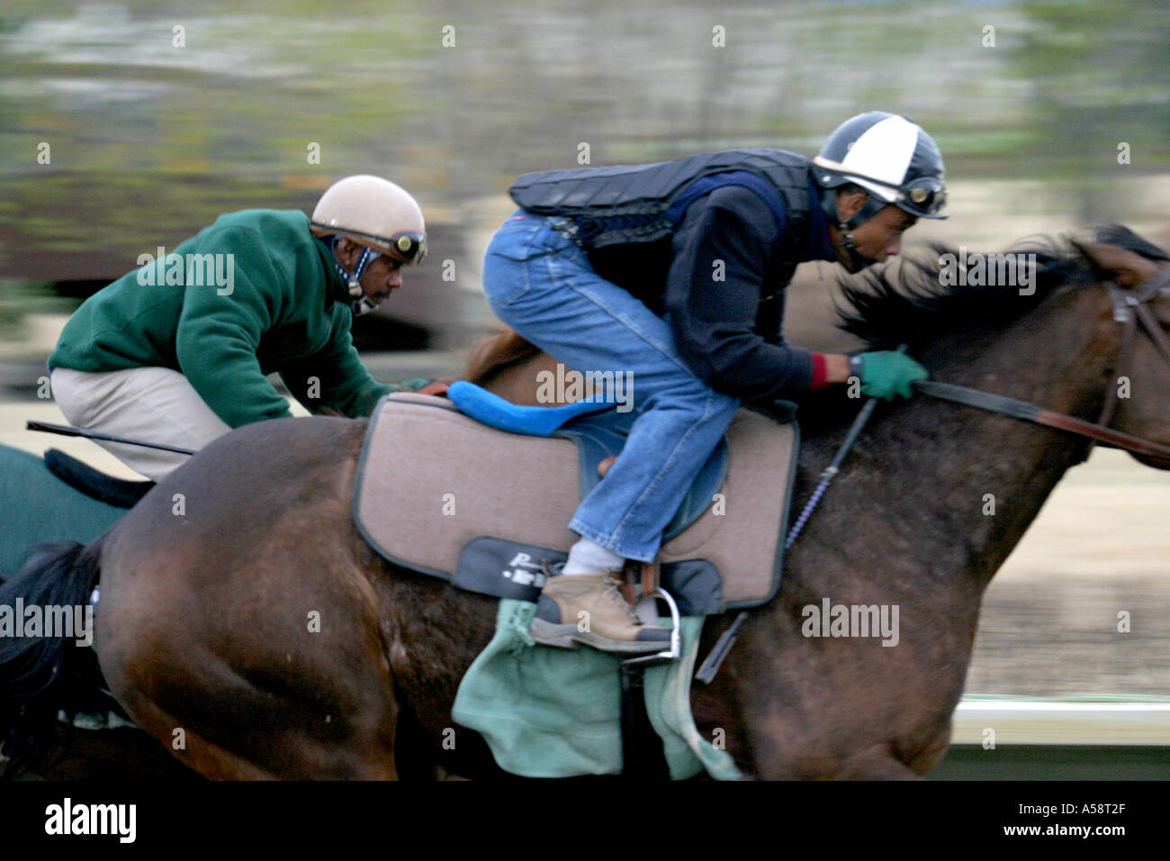 Die Pferde Pferde THOROUGHBRED RACING Calgary Alberta Kanada Ausübung Stockfoto