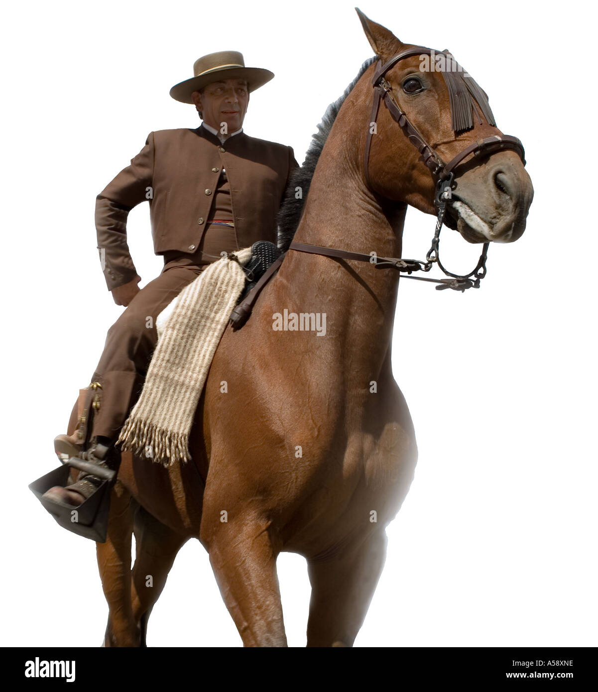 Spanische Reiter, Fahrer, Feria, Pferd Reiter, Mann, Person, Menschen, Fuengirola, Costa del Sol, ethnisch, Kultur, kulturelle, Stockfoto