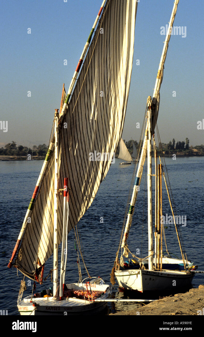 Schiff Feluke Boote auf dem Nil River Aswan Oberägypten Nordafrika Stockfoto