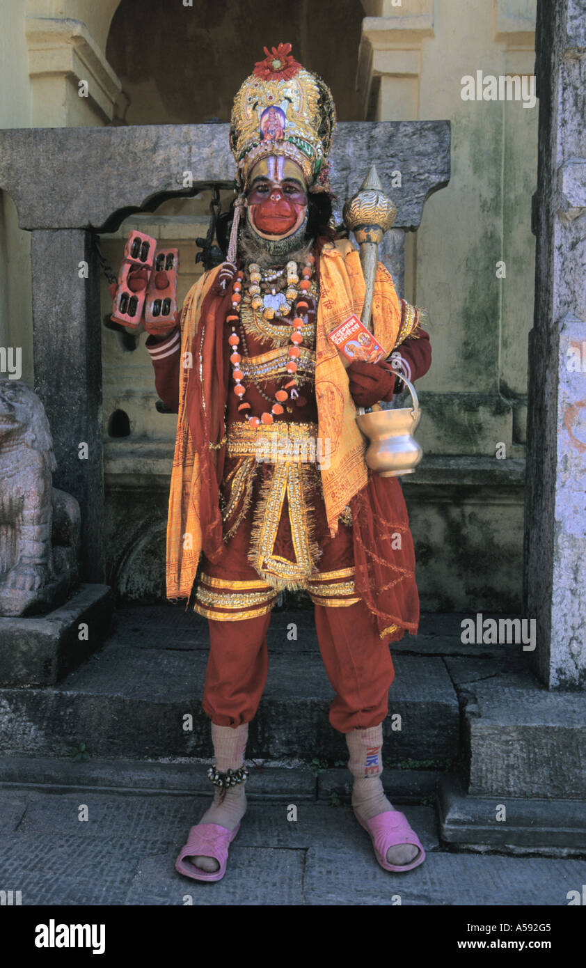 Hanuman in voller Länge, Blick in die Kamera im Pashnupati Tempel Kathmandu-Nepal Stockfoto