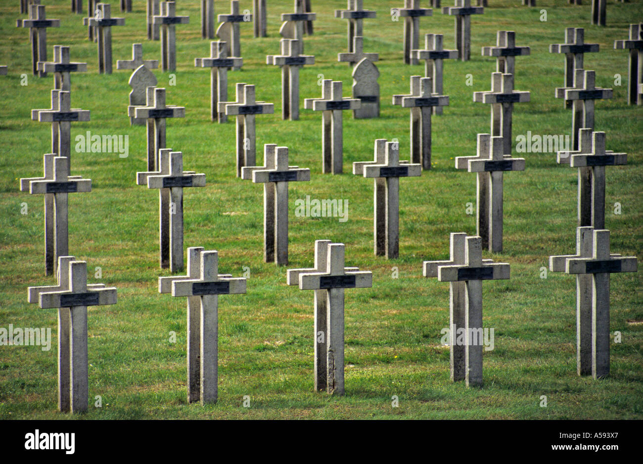 Gräber auf dem ersten Weltkrieg französischer Soldatenfriedhof Sillery Frankreich Stockfoto