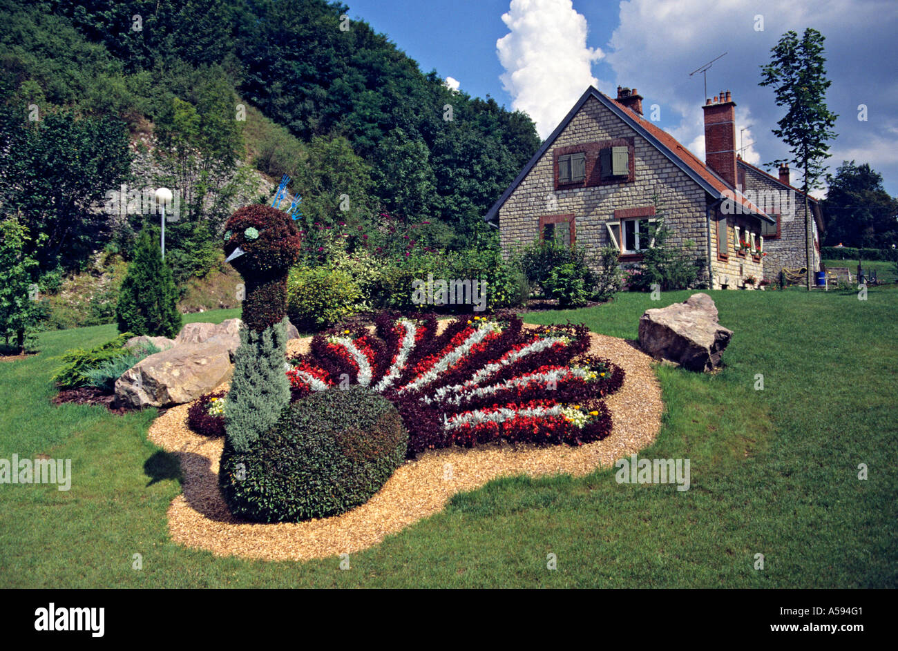 Ein Formschnitt Pfau in einem Garten in Chaumont Haute-Marne, Frankreich Stockfoto