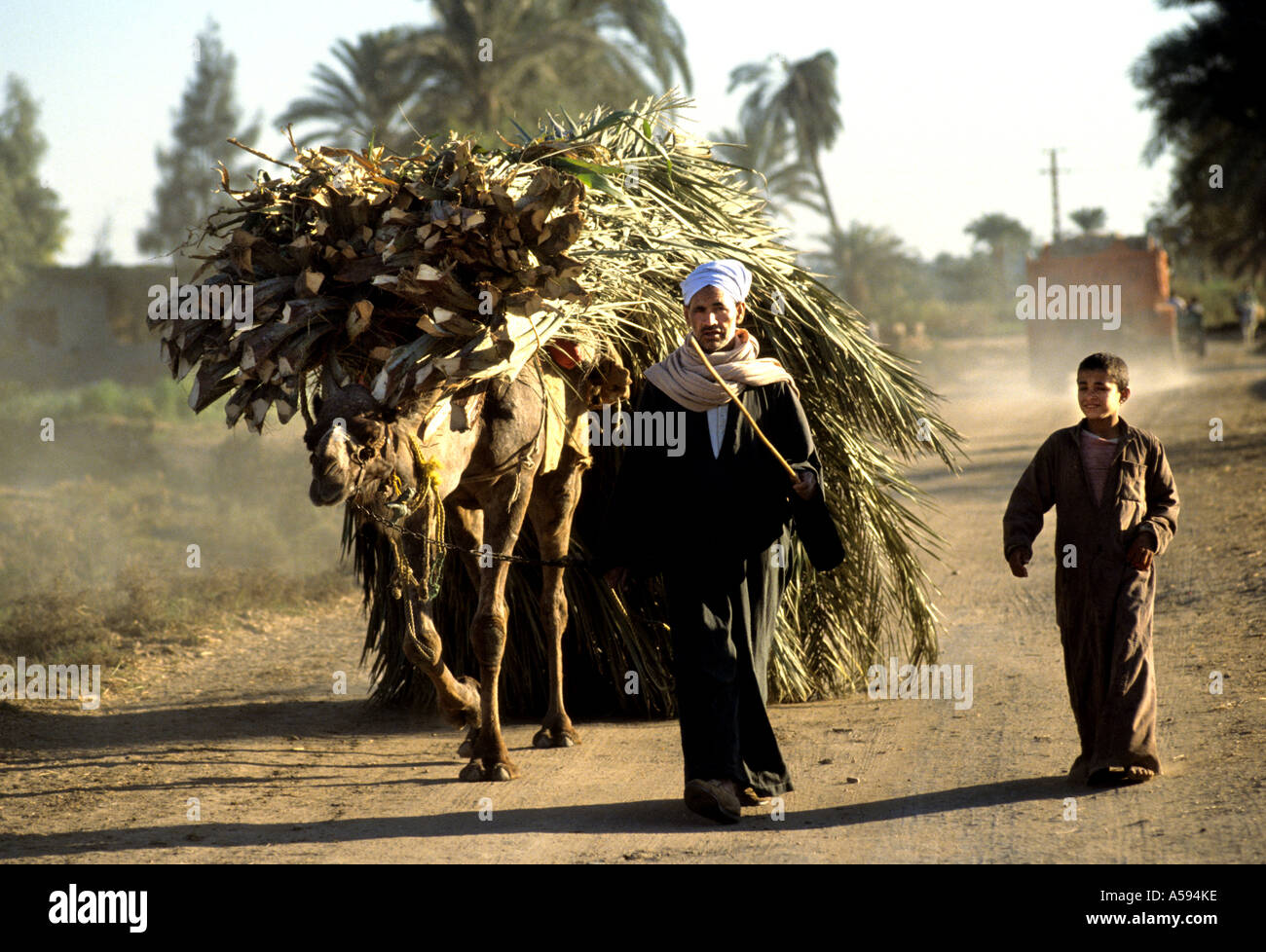 Nile River Ägypten Bauernhof Landwirt Landwirtschaft Feld Kamel Esel Zuckerrohr Plantage Vater Sohn Stockfoto