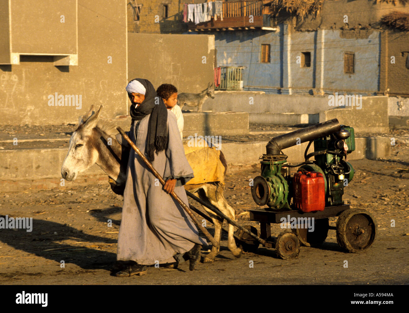 Nil Wasserpumpe Esel Mann Boy Cart Ägypten Fayoum Stockfoto
