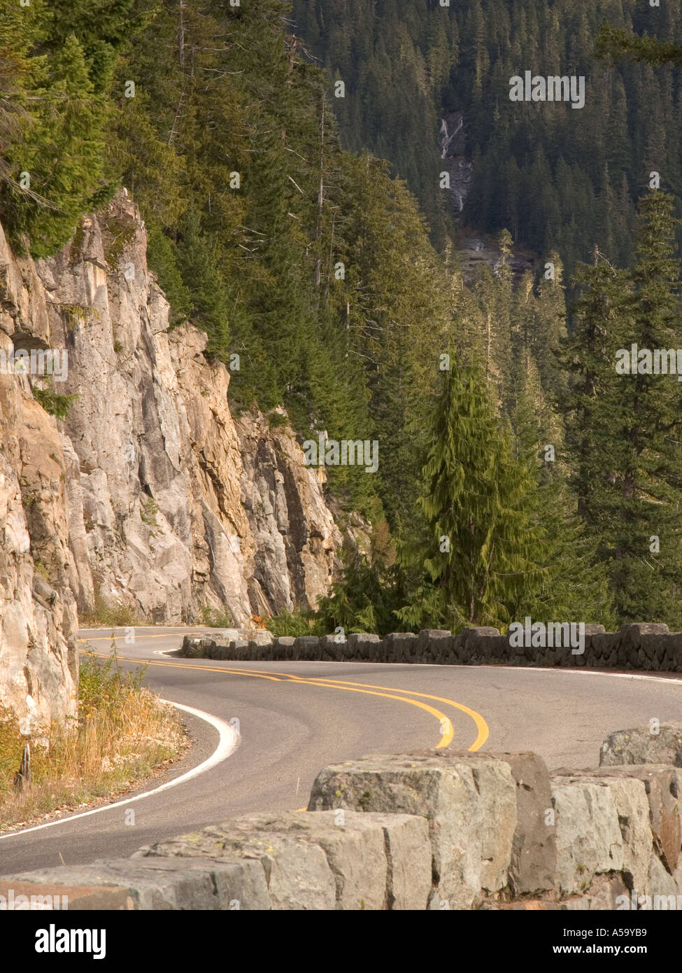 Wicklung von Mountain Road Mount Ranier Nationalpark Washington USA Stockfoto