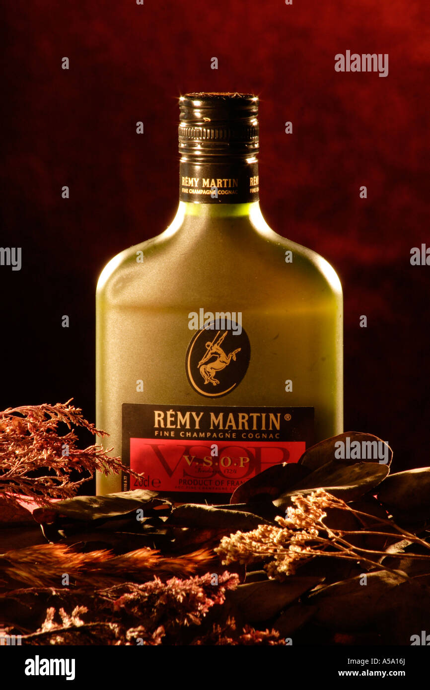 Remy Martin fine Champagne Cognac-Flasche in getrockneten Bürsten Stockfoto