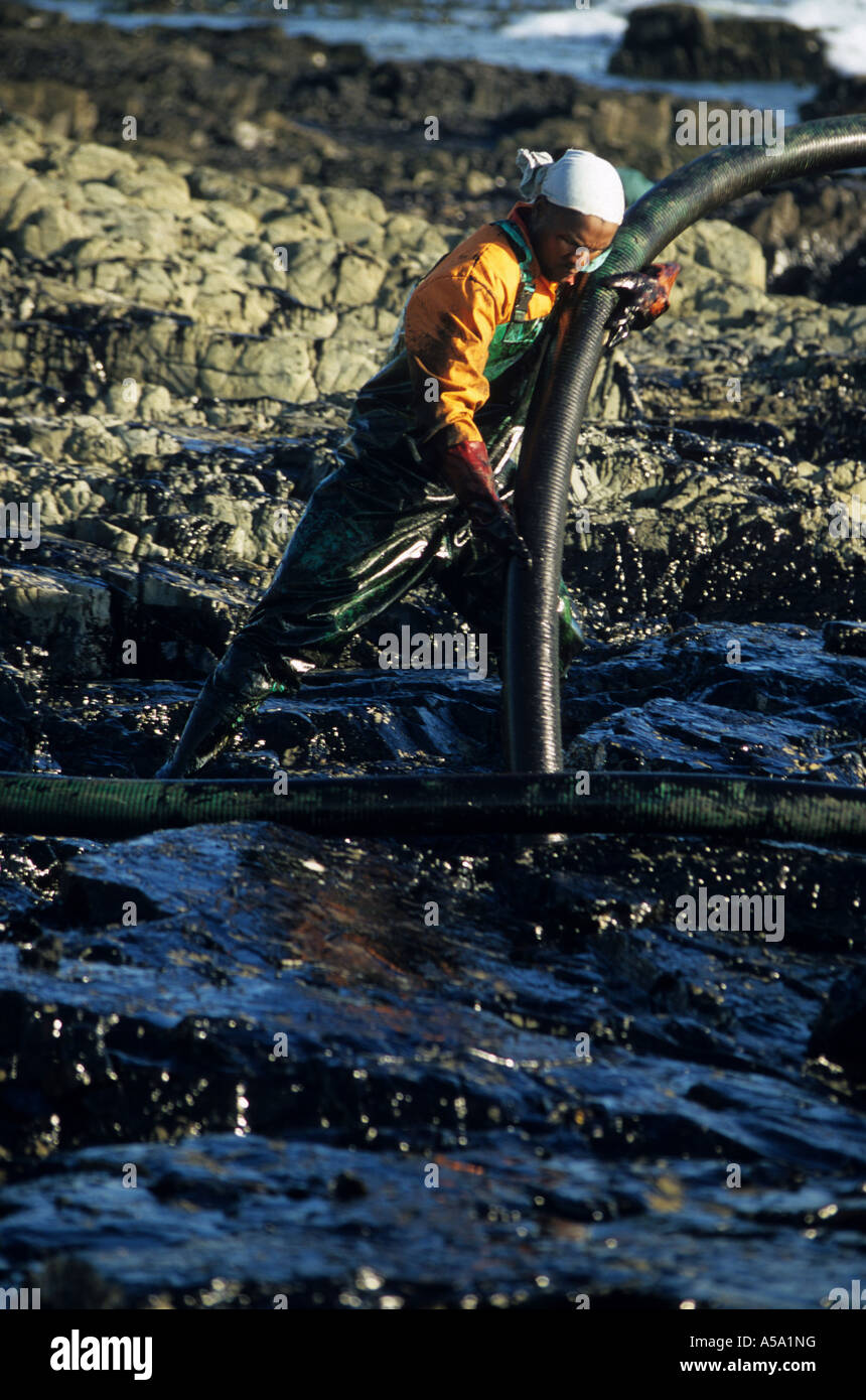 Oil Spill Bereinigung am Strand von Kapstadt am 23. Juni 2000 nach der Massengutfrachter Schatz vor der Küste sank Stockfoto