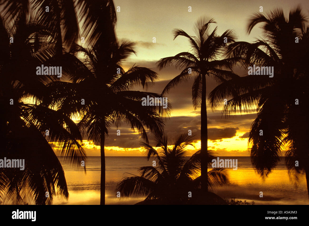 Belize South Wasser Cay Sonnenaufgang über dem karibischen Meer Stockfoto