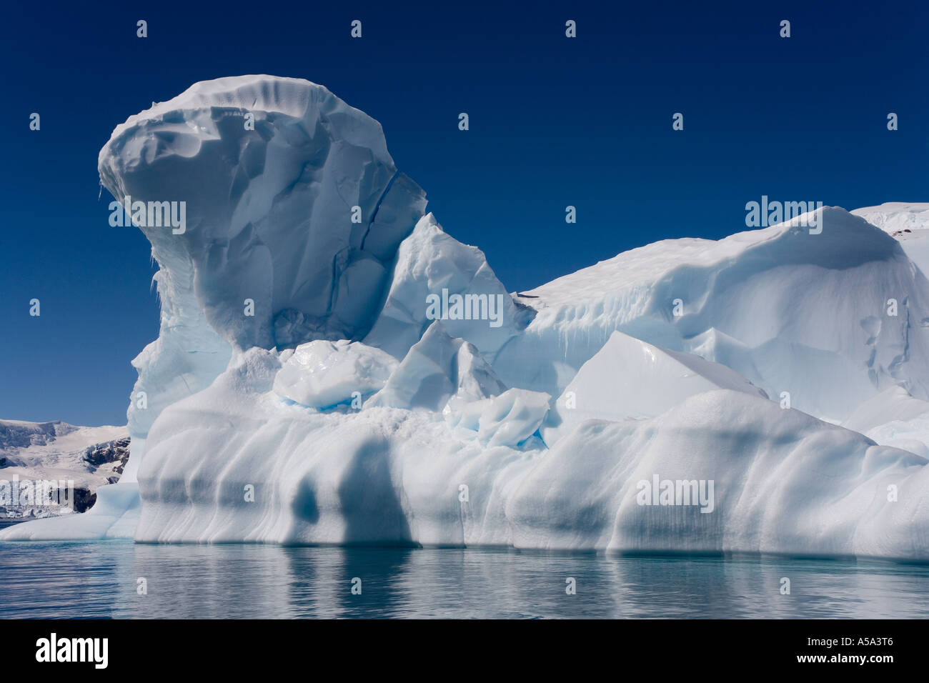 Eisberg, schwebend in der Curverville Bucht in der Antarktis Stockfoto