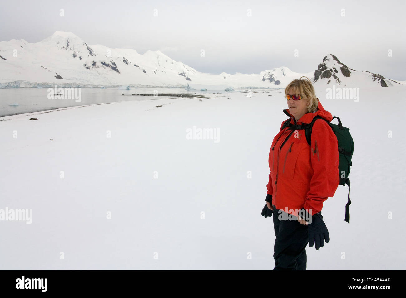 Abenteuer-Touristen auf Half Moon-Insel vor der antarktischen Halbinsel in der Antarktis Stockfoto