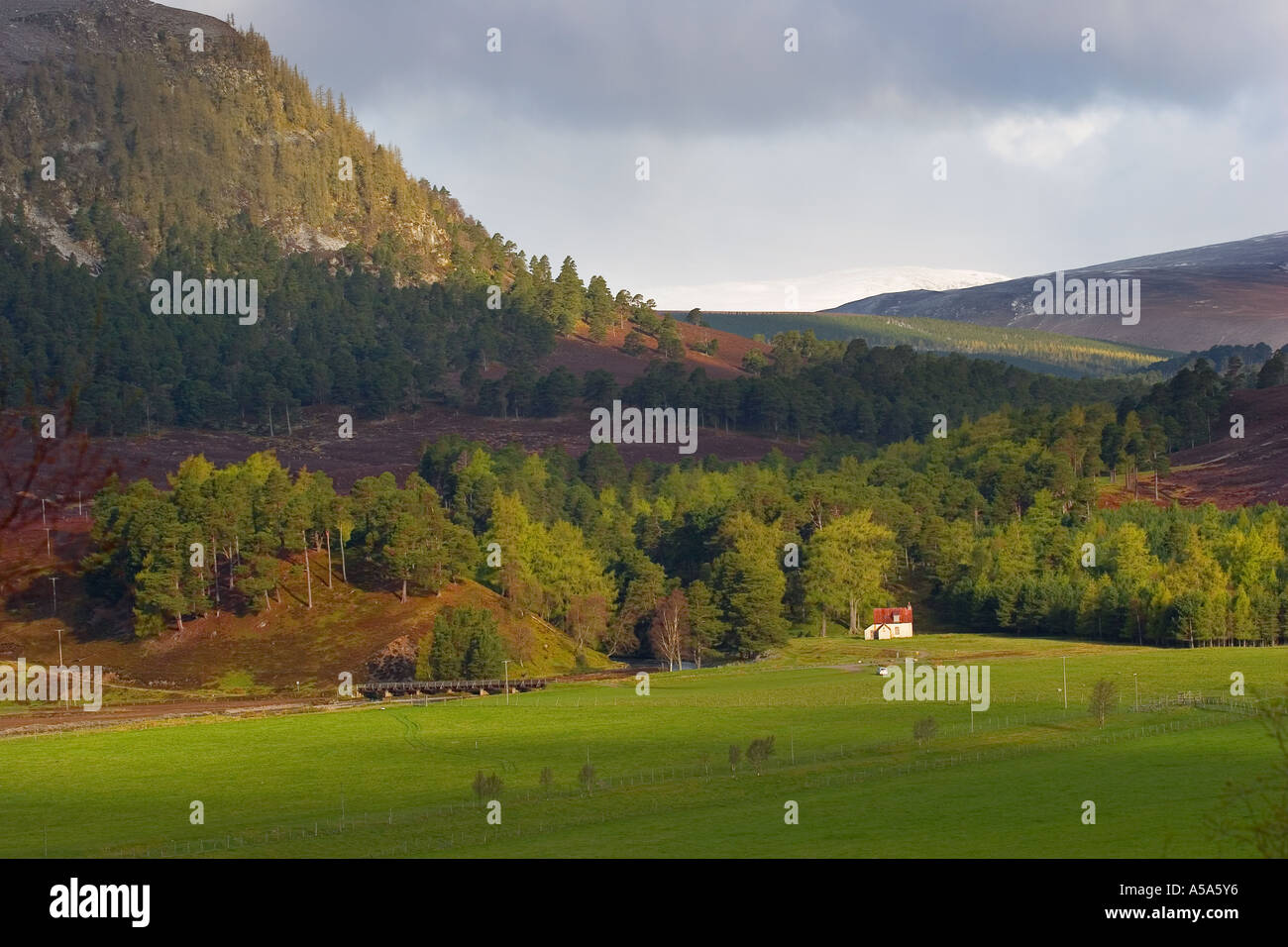 Mar Lodge Estate, Dee vally Landschaft mit Blick auf die Linn of Quoich, Braemar, Aberdeenshire, Cairngorms National Park Schottland großbritannien Stockfoto