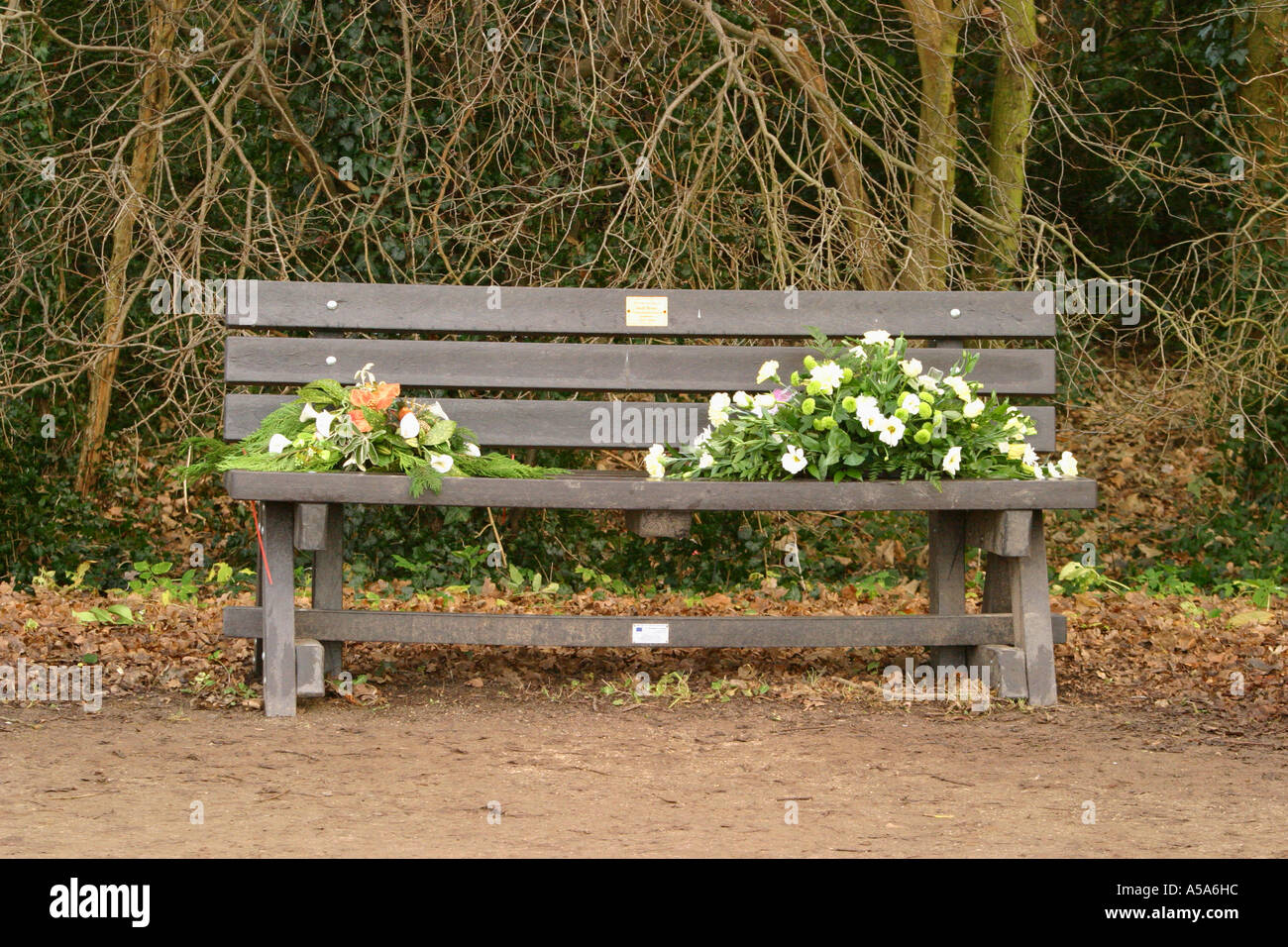 Vor kurzem platzierte Parkbank in Erinnerung an den verstorbenen Stockfoto
