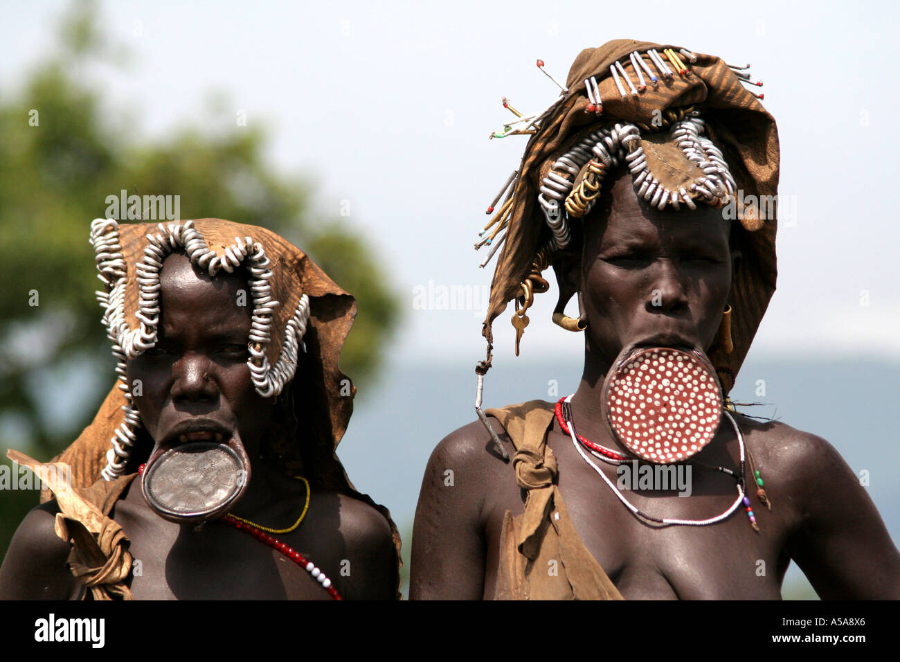Mursi Stamm Frauen mit Mundlochplatte, unteren Omo Valle, Äthiopien Stockfoto