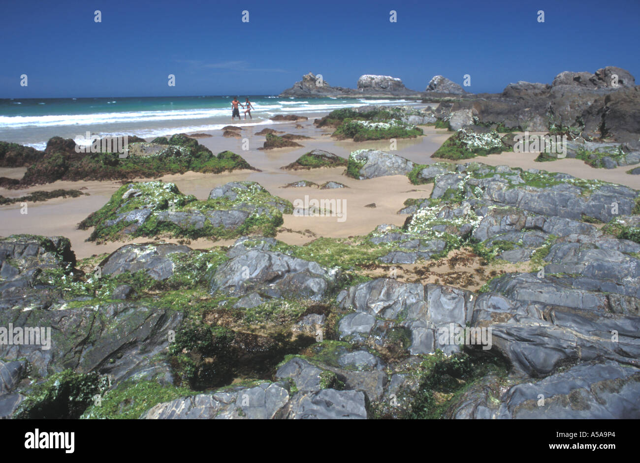 Broken Head Beach, N.S.W, Australien Stockfoto