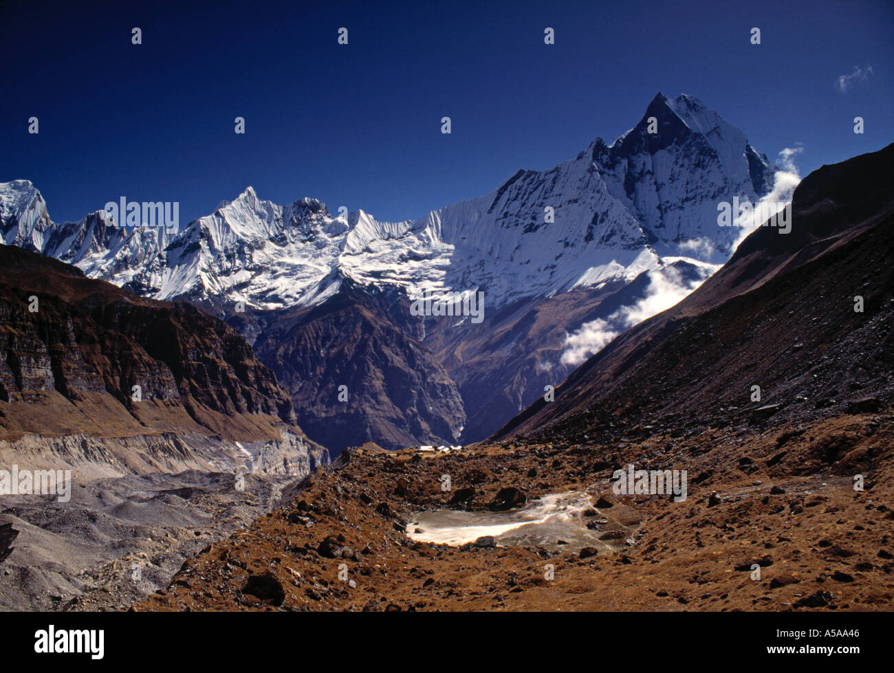 Fischschwanz, Annapurna Base Camp, Nepal Stockfoto