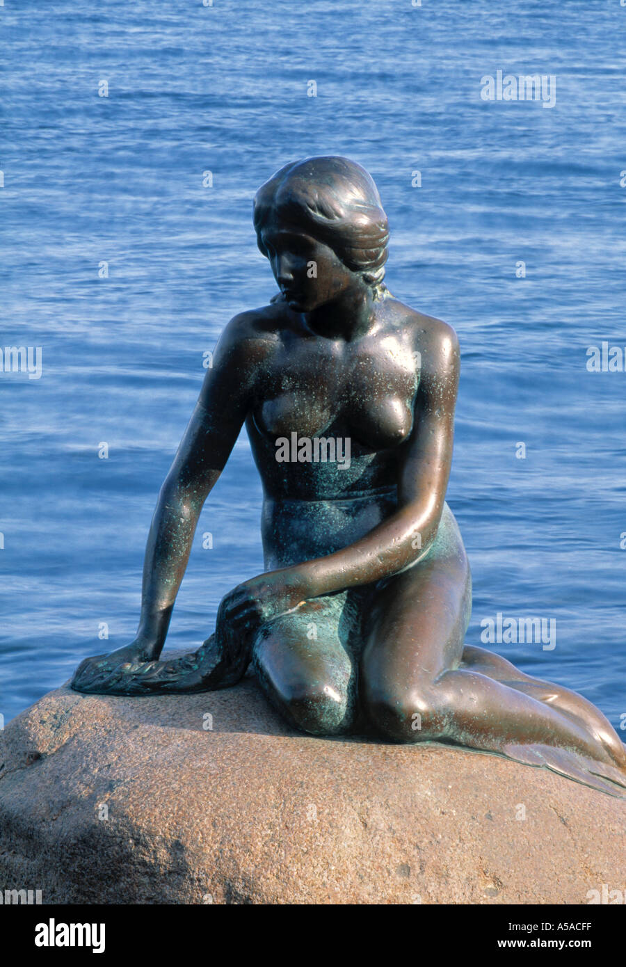 Statue der kleinen Meerjungfrau, Kopenhagen, Dänemark Stockfoto