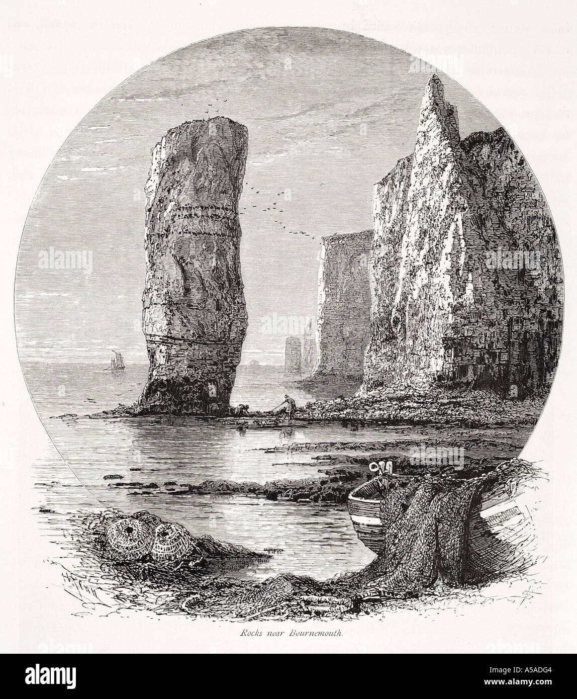 Rock Bournemouth Purbeck Dorset Kreide Klippe Küste Küste steil hohen hohen Turm Ärmelkanal Erosion Geologie marine Hummer Stockfoto