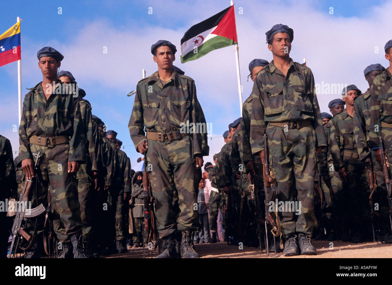 Polisario Soldaten aufgereiht in Tindouf westlichen Algerien Stockfoto