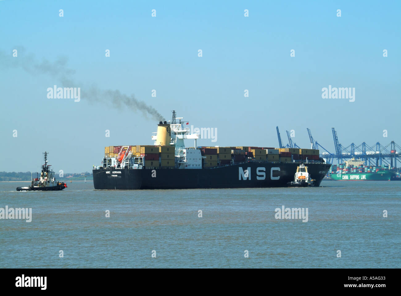 Schlepper, die MSC beladenes Containerschiff unterstützen, das im Hafen von Felixstowe, Suffolk, East Anglia, England, ankommt Stockfoto