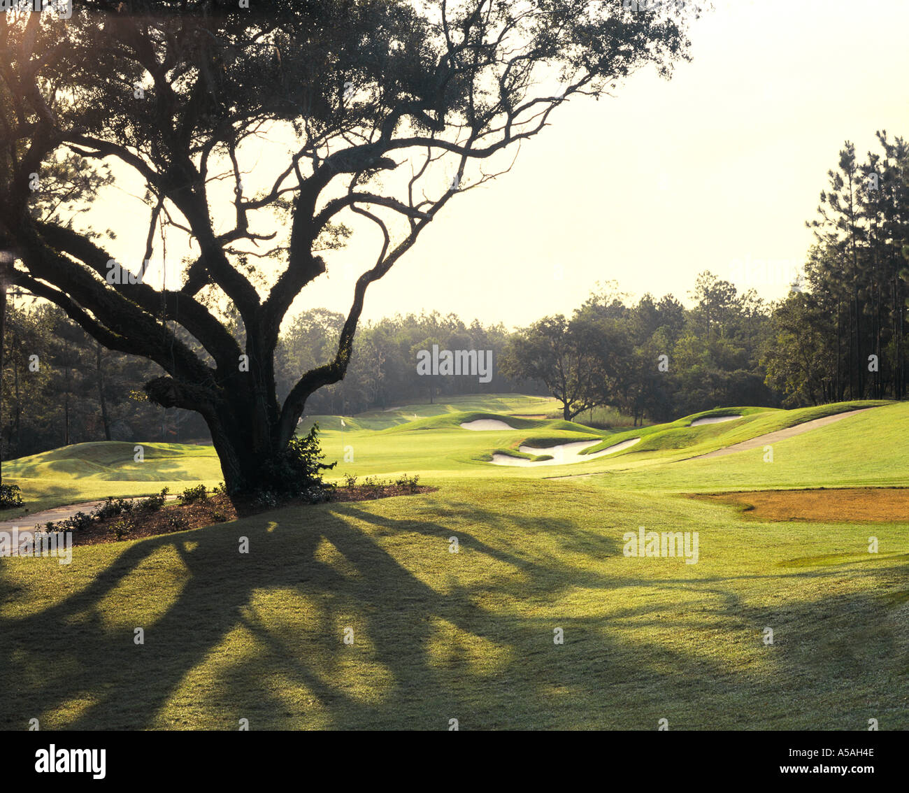 El Diablo Golf Course Citrus Hills FL Stockfoto