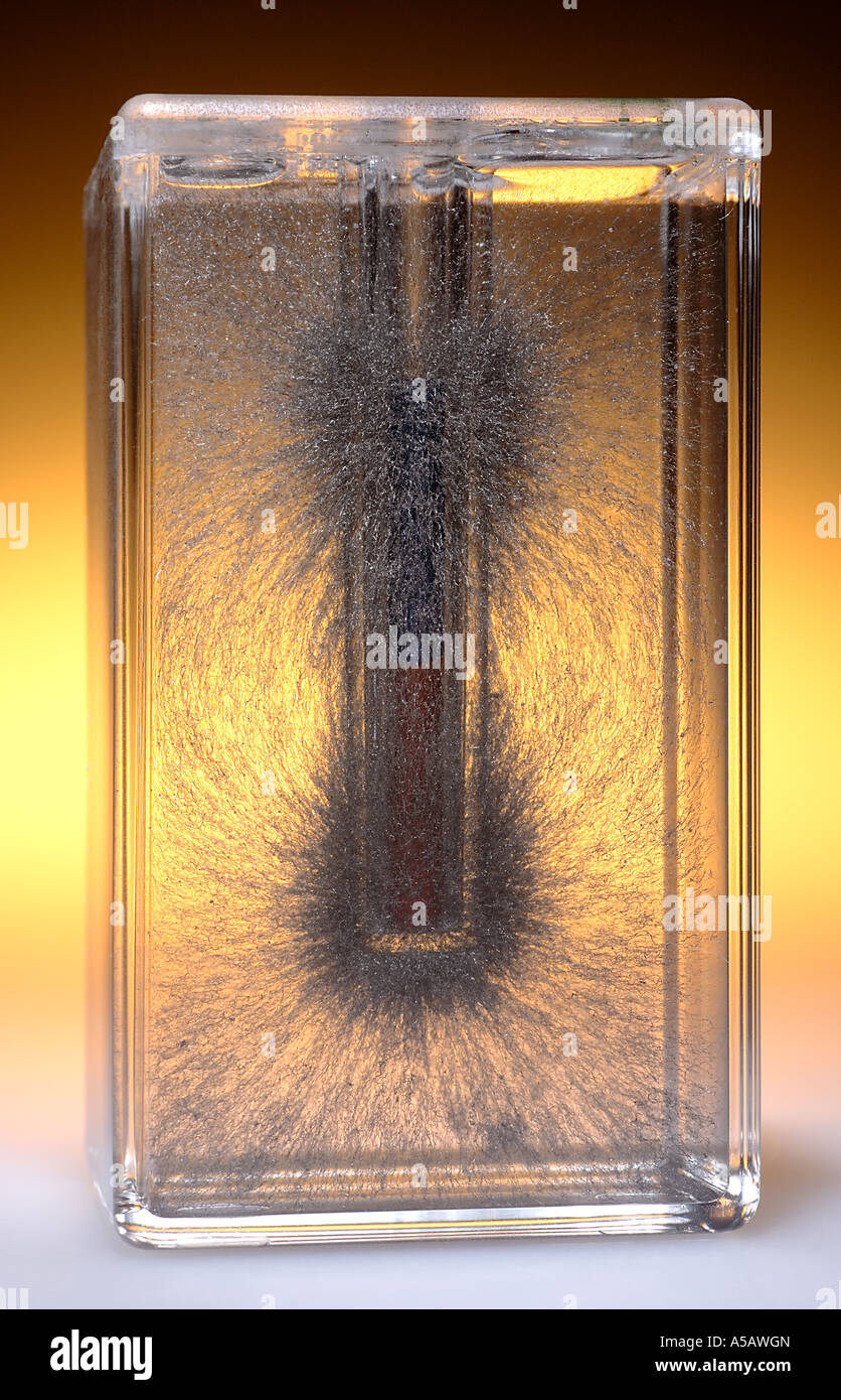 3 dimensionale Magnetfeld Eisenspäne in Öl w Stabmagneten in der Mitte unterbrochen Stockfoto